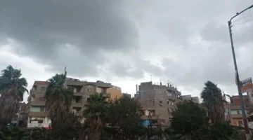 انخفاض 3 درجات.. موجة برد ورياح رملية تضرب مدنًا مصرية خلال ساعات